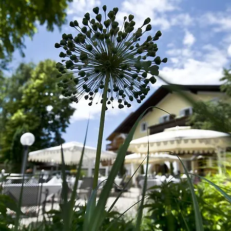 호텔 Gartenhotel Voelser Hof - Adults Only 피에